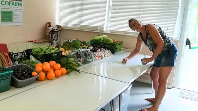 A woman smiling and standing with a cleaning cloth and sanitiser in front of a white table with fruit and vegetables.