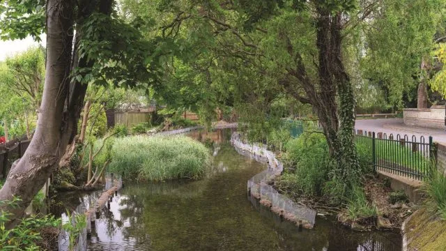 The river bank after planting
